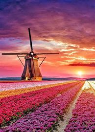 Image result for Netherland Nature View