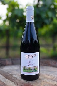 Image result for Sunce Syrah Unfiltered Field Dreams