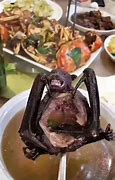 Image result for Bat Soup in China