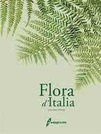 Image result for Flora Centimetre