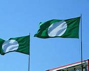 Image result for Pas Flag