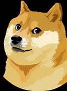 Image result for Doge Meme Background