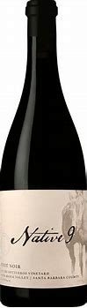 Image result for native9 Pinot Noir Rancho Ontiveros