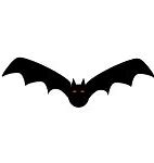 Image result for Spider Bat L