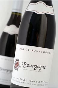 Image result for Georges Lignier Bourgogne Champs Vigne