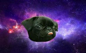Image result for Galaxy Pugs Bitesize Game