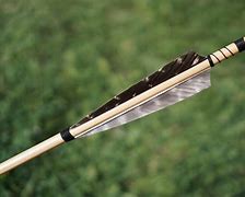 Image result for Iron Will Broadheads
