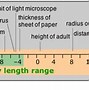 Image result for Scientific Units of Measurement