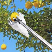 Image result for Fruit Harvester Trigger Hook