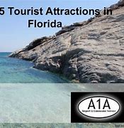 Image result for Tourist Attractions in Florida