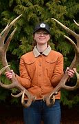 Image result for Largest Bull Elk On Record