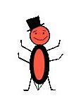 Image result for Cricket Bug