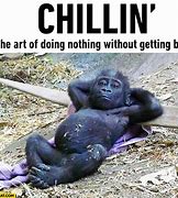 Image result for Chillin Alone