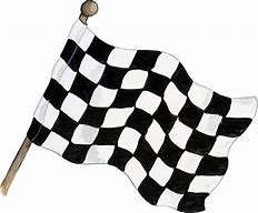 Image result for Checkered Flag Decals for Cars