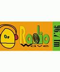Image result for Radio Wave Logo