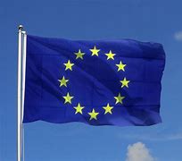 Image result for European Union Flag