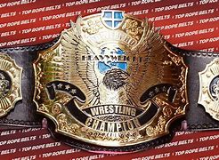 Image result for Top Rope Belts