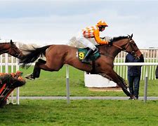 Image result for Flat Horse Racing