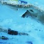 Image result for Piscine Luxembourg Nord