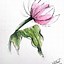Image result for Pen and Ink Watercolor Flowers