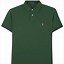 Image result for Dark Green Polo T-Shirt