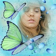 Image result for Blue Butterflies Background