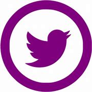 Image result for Purple Twitter Logo