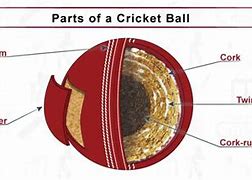 Image result for Cricket Ball Inside