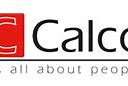 Image result for calco