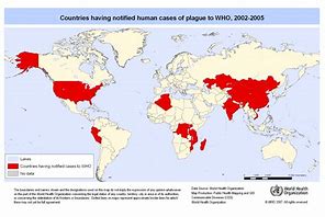 Image result for Bubonic Plague Outbreak
