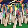 Image result for Cricket Equipment Name List with Images