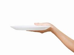 Image result for Hand Holding Plate