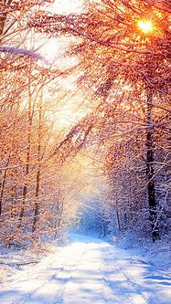 Image result for Winter Nature Wallpaper iPhone
