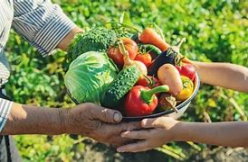 Image result for agricultyra