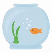 Image result for iPhone Focus On Fish Bowl