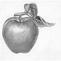 Image result for Apple Drawing Pencil Sketch
