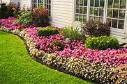 Image result for Creative Backyard Landscaping