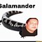 Image result for Salamander Meme