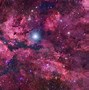 Image result for Galaxy Rainbow Rose