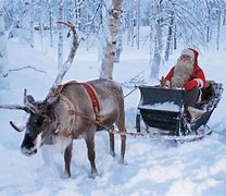 Image result for Santa Sleigh with White Reindeer