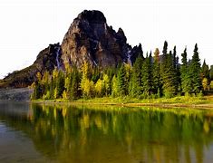 Image result for Summer Nature Trees