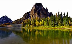 Image result for Nature HD iPhone Wallpaper