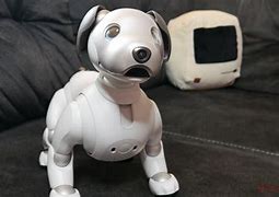 Image result for Sony Aibo Woman in Seat Pinterest