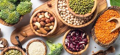 Image result for Plant Protein Sources
