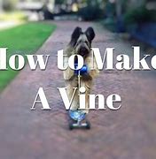 Image result for Create Vines