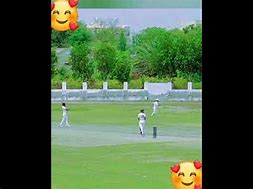 Image result for Proffesional Cricket Stump