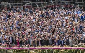 Image result for Horse Racing Crowd