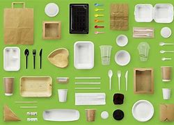 Image result for Disposable Food Packaging Items