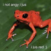Image result for Standing Frog Meme