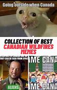 Image result for Canadian Wildfire Memes